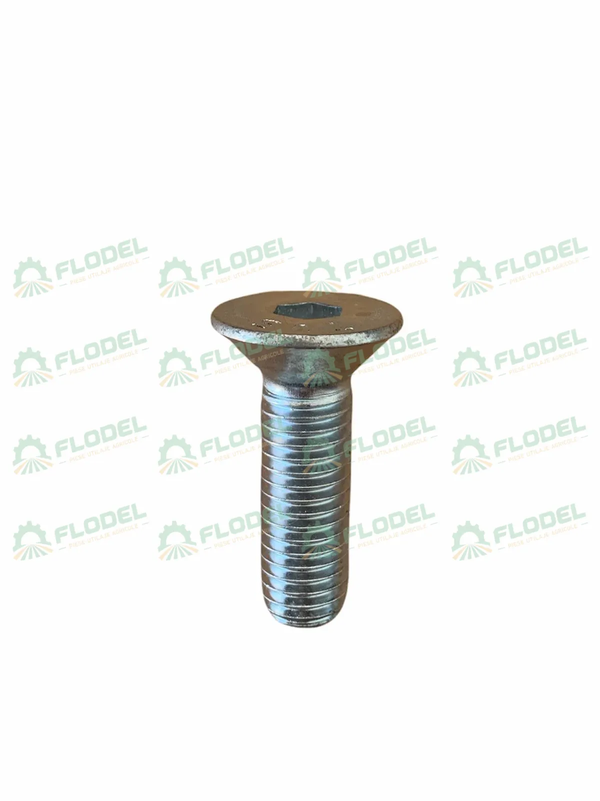 Surub 12x40mm