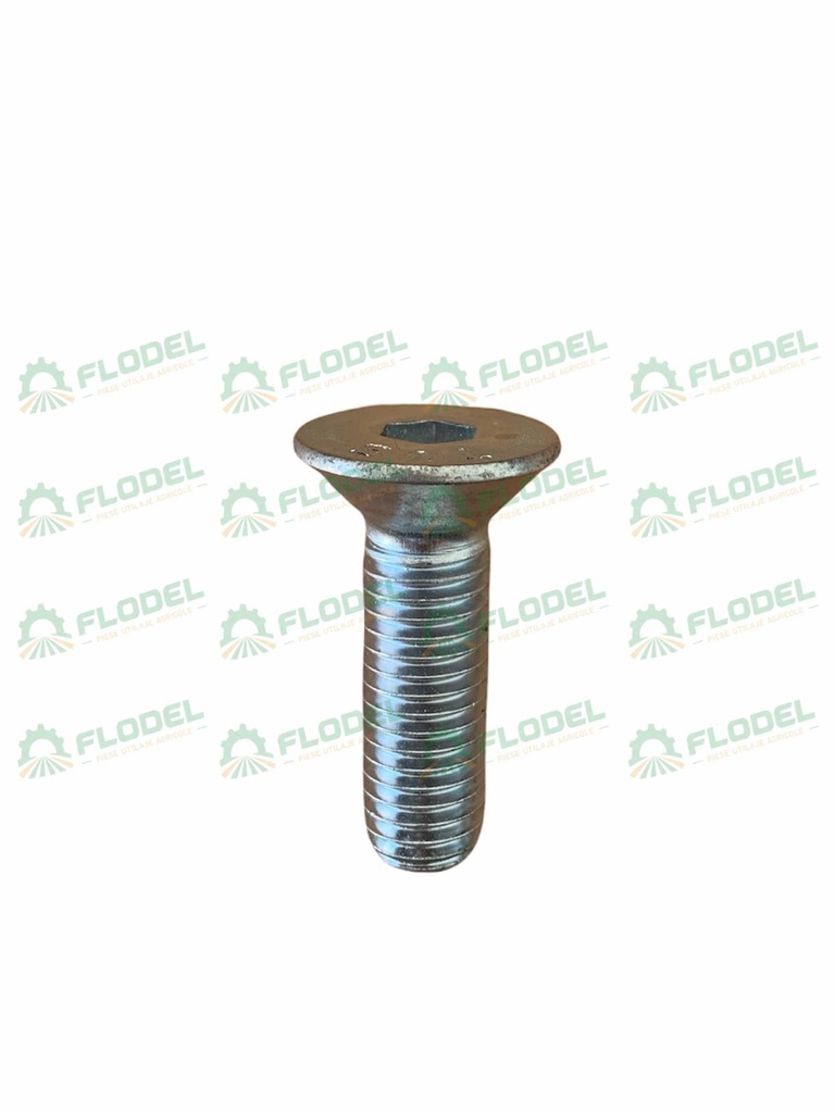 Surub 12x40mm