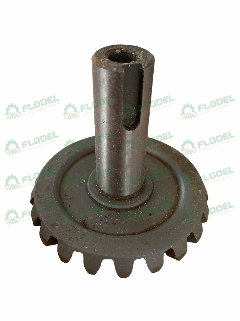 Pinion Z21 culegator porumb FANTINI