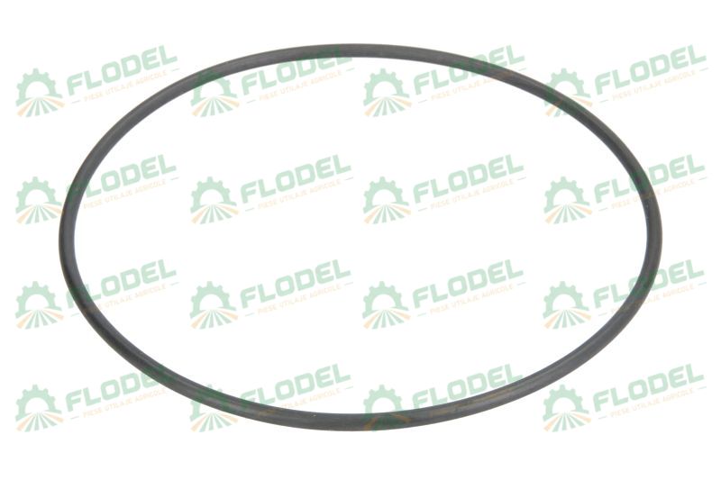 Oring cutie de viteza 110mm
