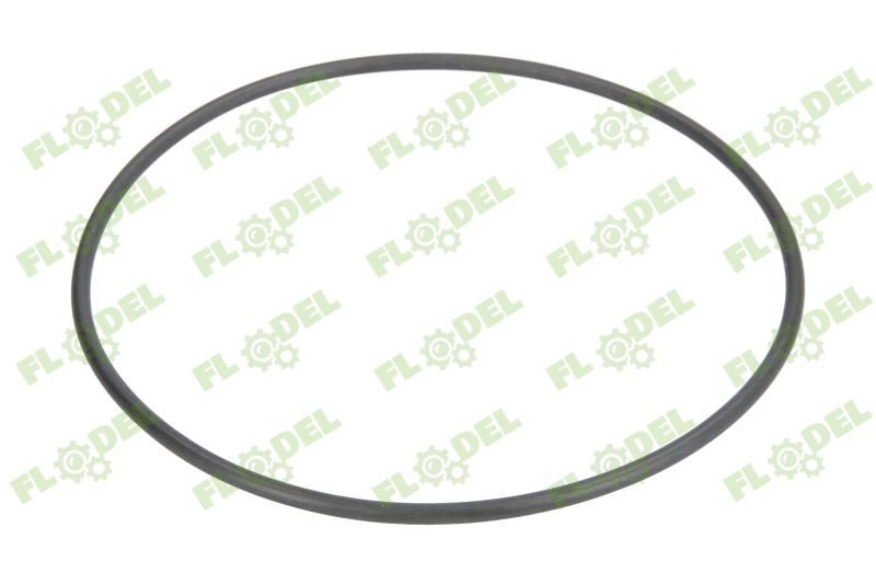 Oring cutie de viteza 110mm