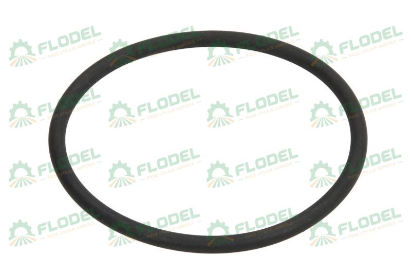 Oring cutie de viteza 56mm