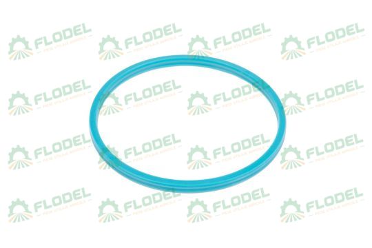 Simering 5x70x5mm