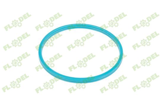 Simering 5x70x5mm