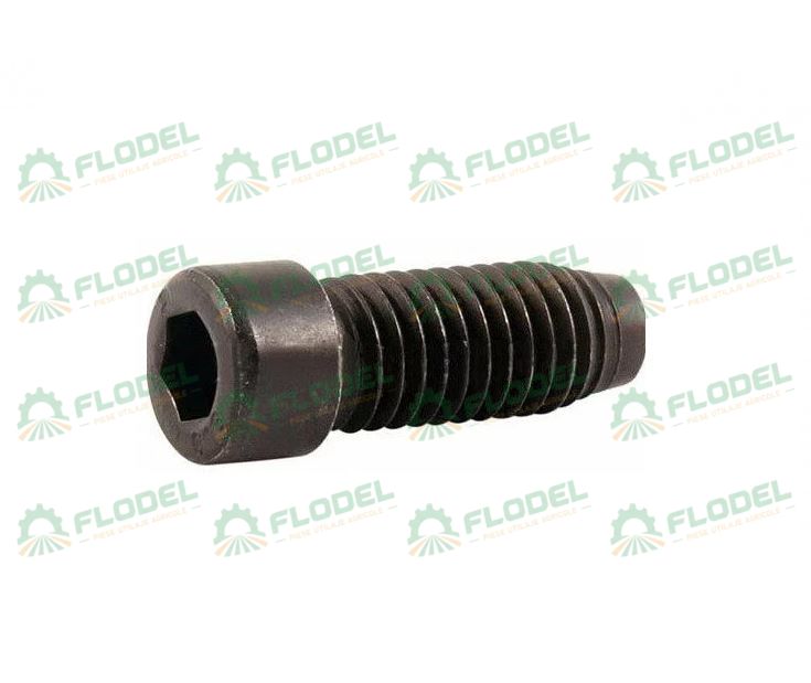 Surub rotor GERINGHOFF 040594