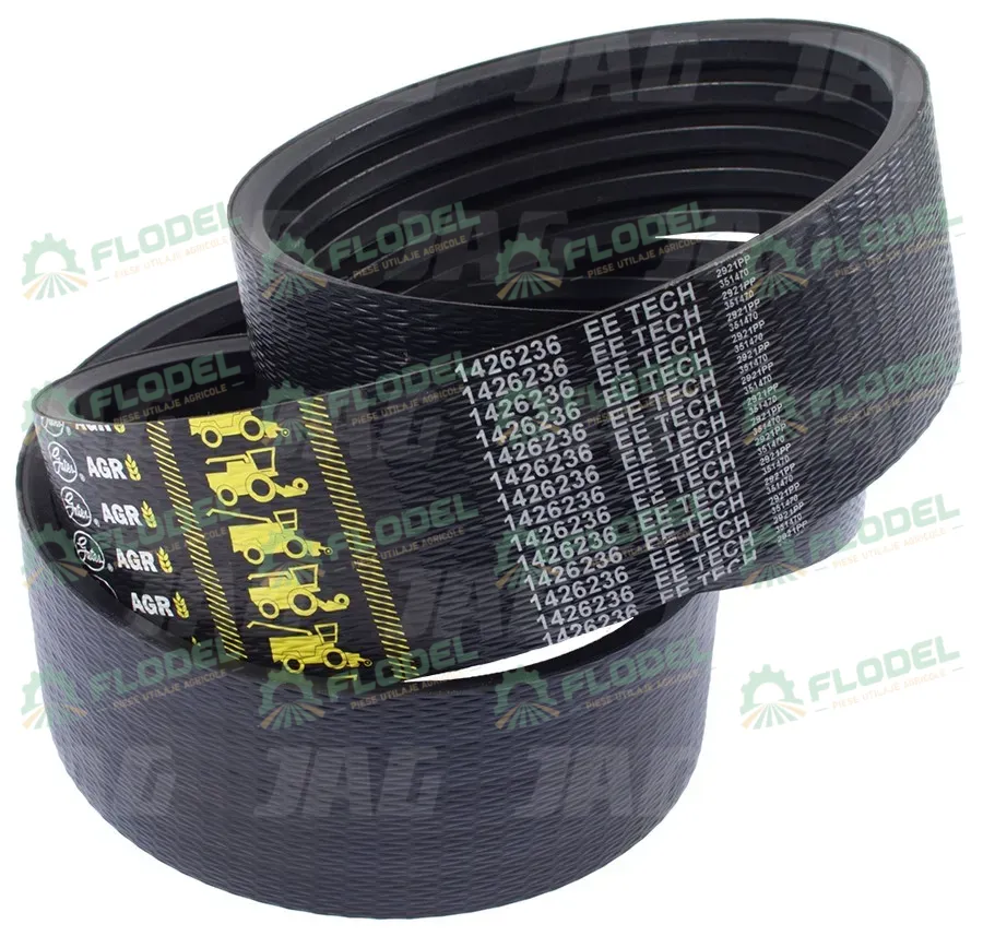 Curea combina CLAAS 661239 [5HB] GATES