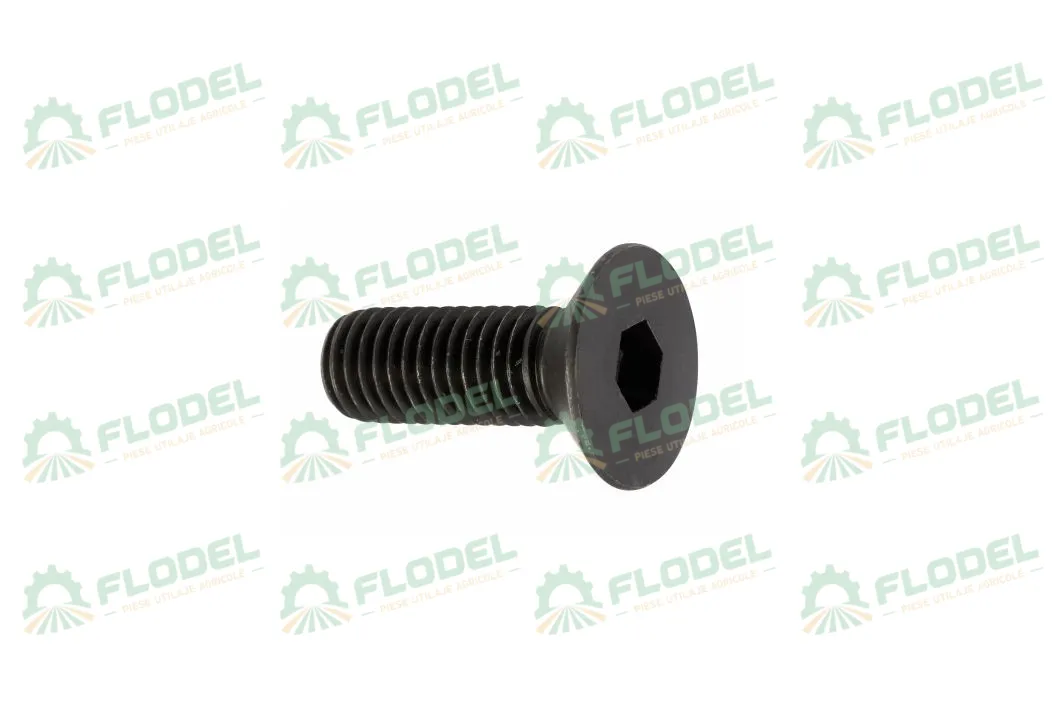 Surub cap inecat imbus M10x25