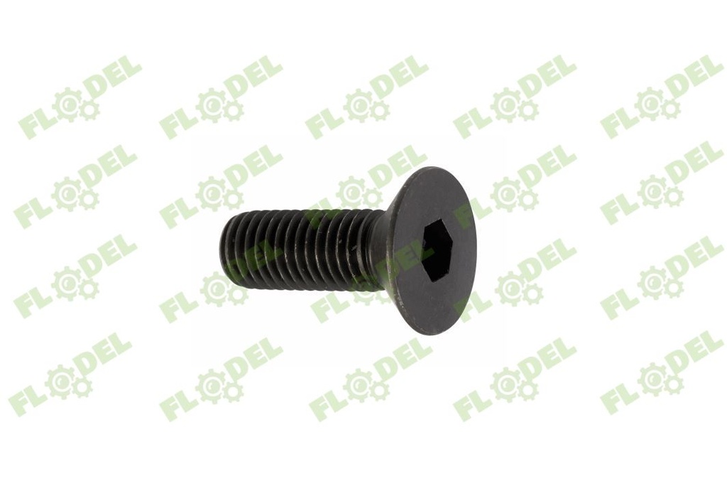 Surub cap inecat imbus M10x25