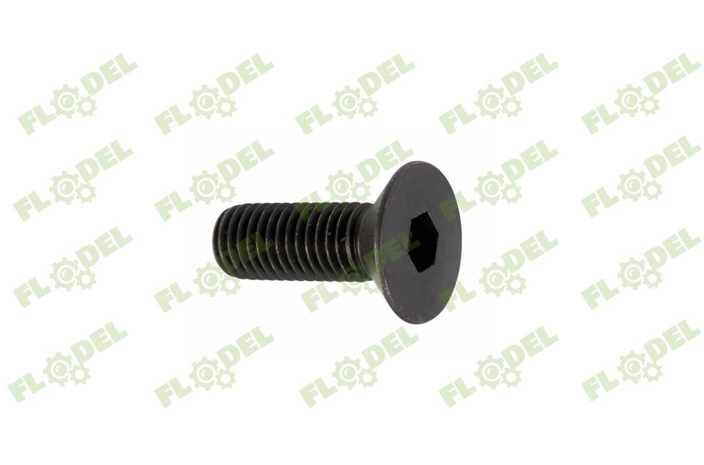 Surub cap inecat imbus M10x45