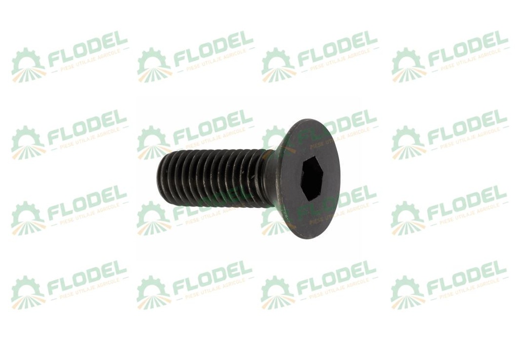 Surub cap inecat imbus M10x45