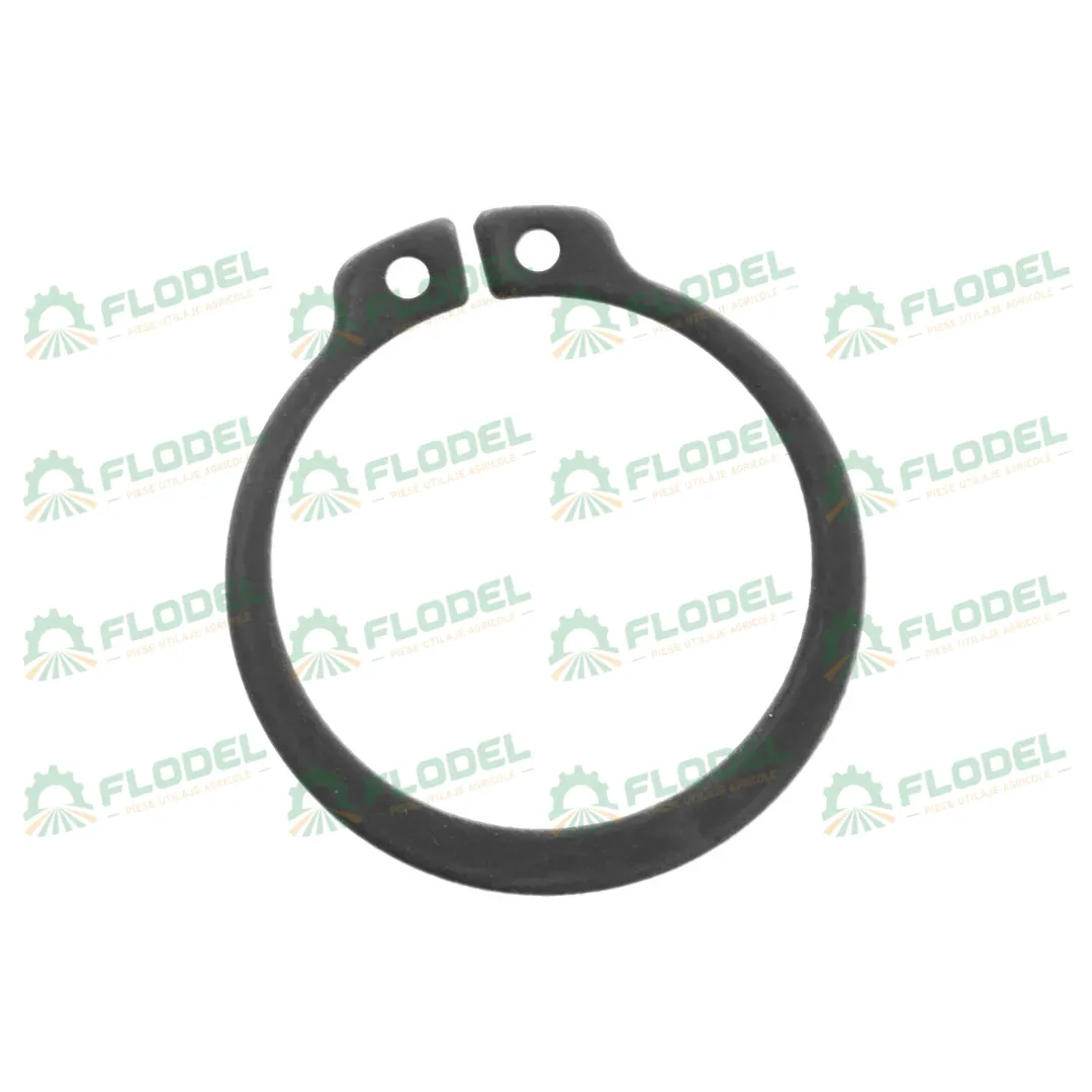 Siguranta 30x1,5mm