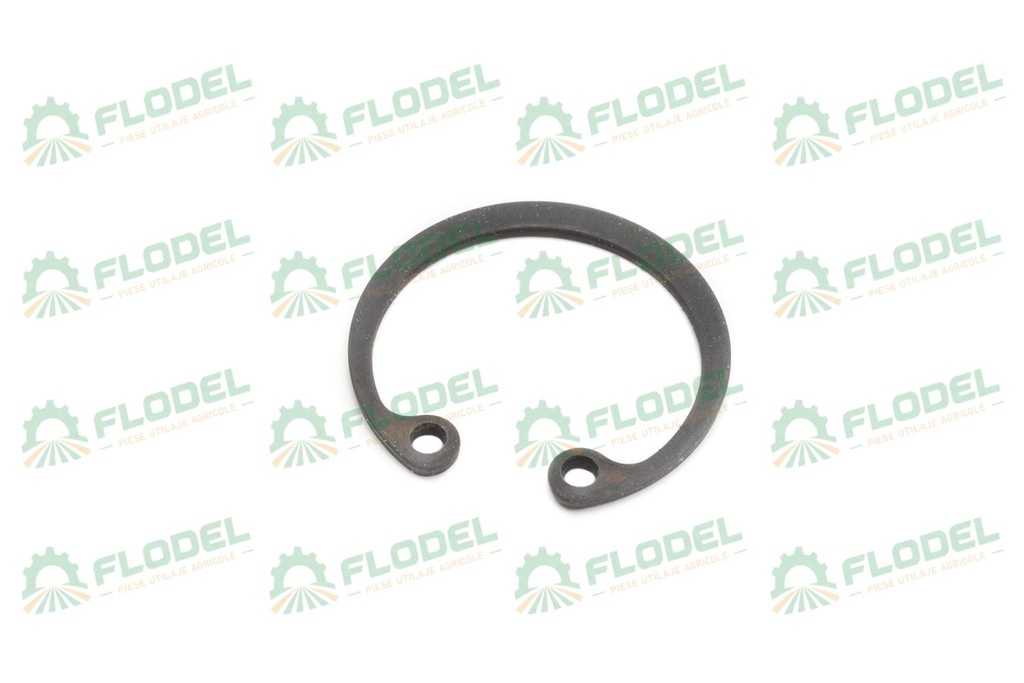 Siguranta 55x2mm