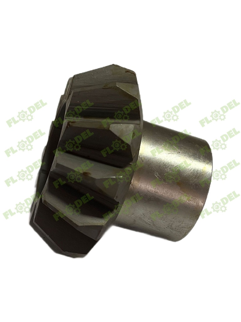 Pinion OLIMAC DR8080 Z13