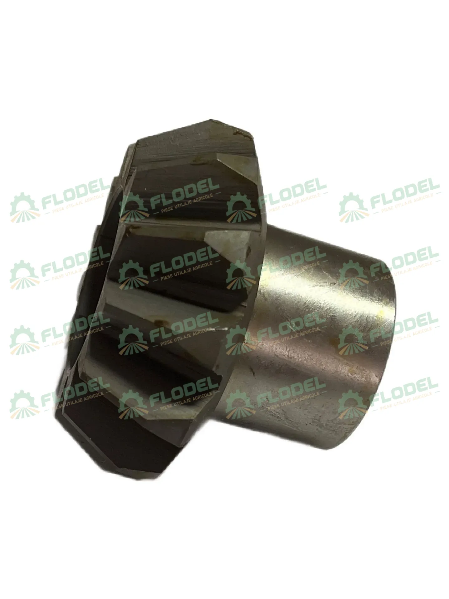 Pinion OLIMAC DR8080 Z13