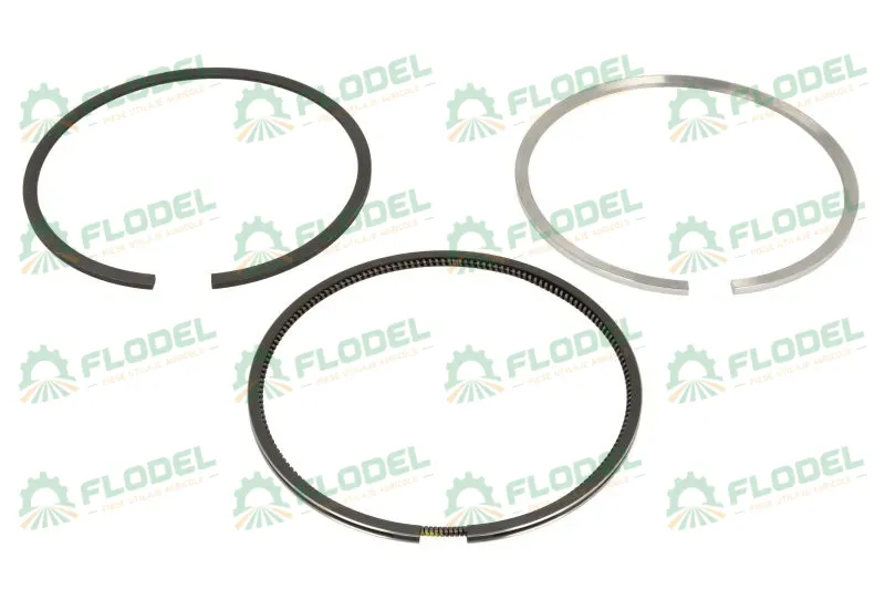 Segmenti piston