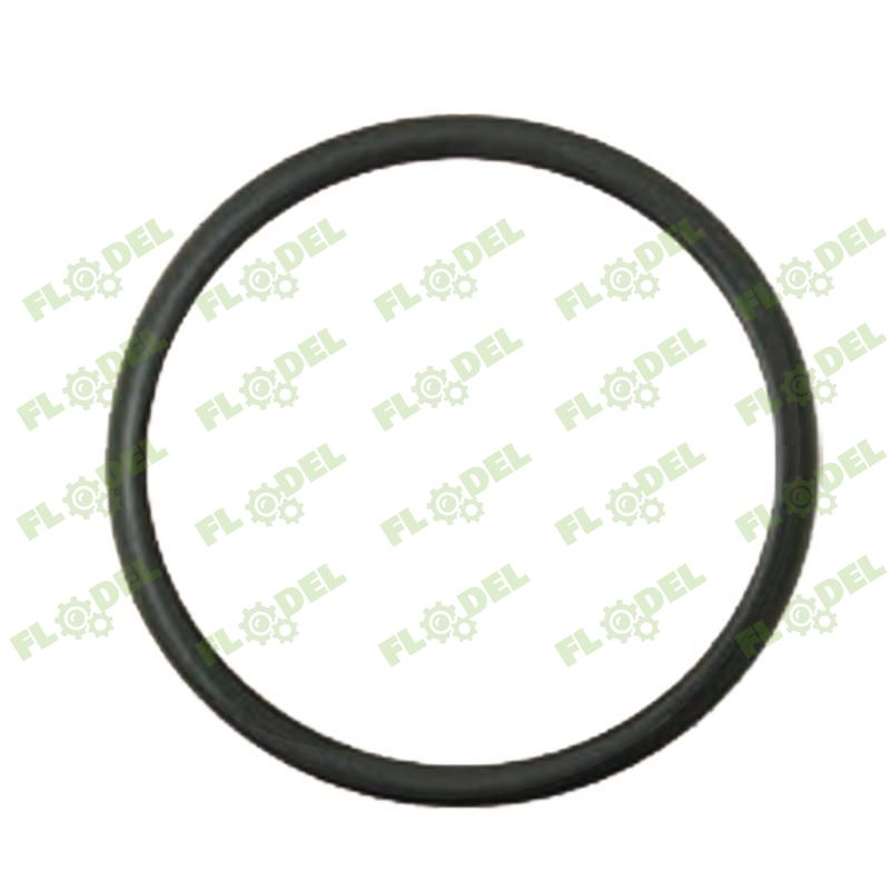Oring CNH