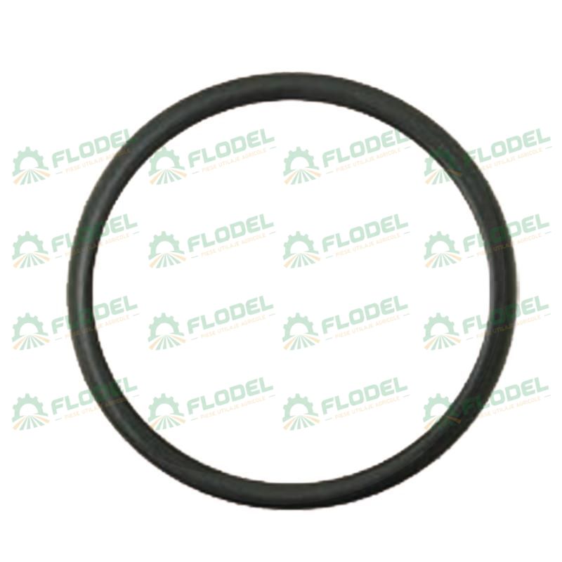 Oring CNH
