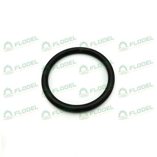 O ring CNH