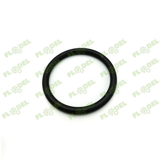 Oring CNH