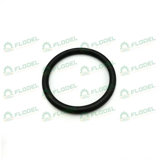 Oring CNH