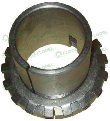 Bucsa conica 239127 [H2307]