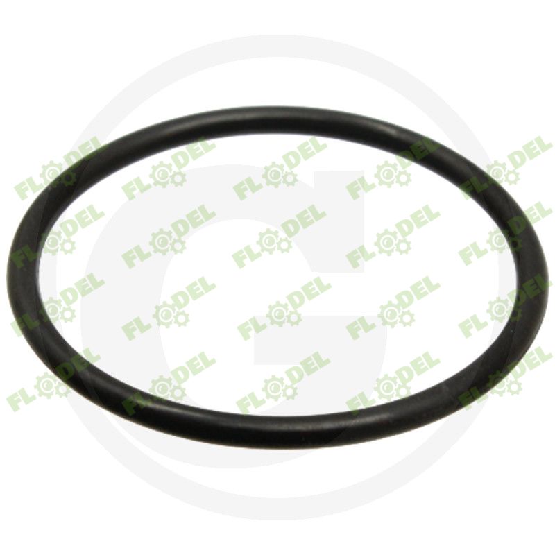 O ring ax transmisie Massey Ferguson 3010501X1
