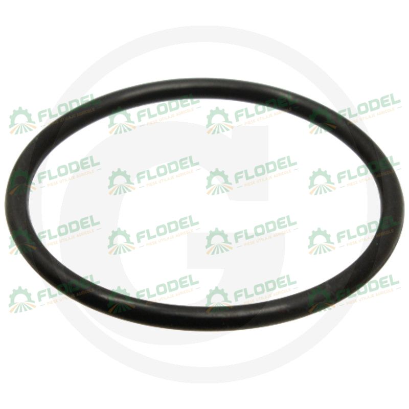 O ring ax transmisie Massey Ferguson 3010501X1