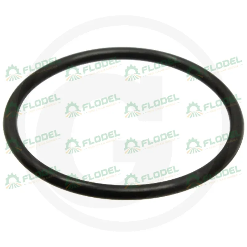 O ring ax transmisie Massey Ferguson 3010501X1