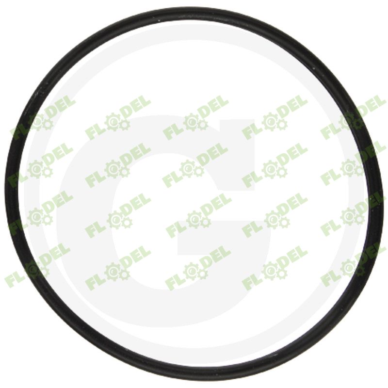 Oring transmisie Massey Ferguson 3712819M11