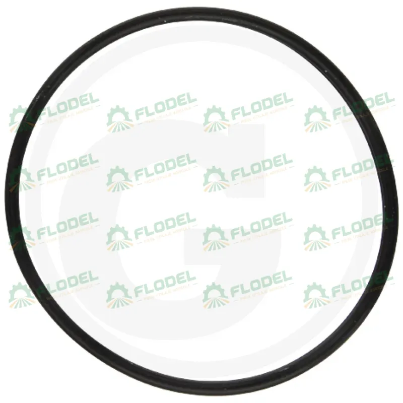 Oring transmisie Massey Ferguson 3712819M11