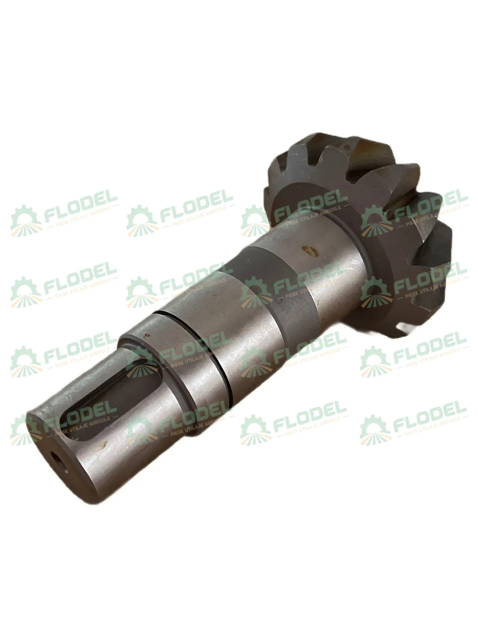 Ax OLIMAC DR7050 [Z13]