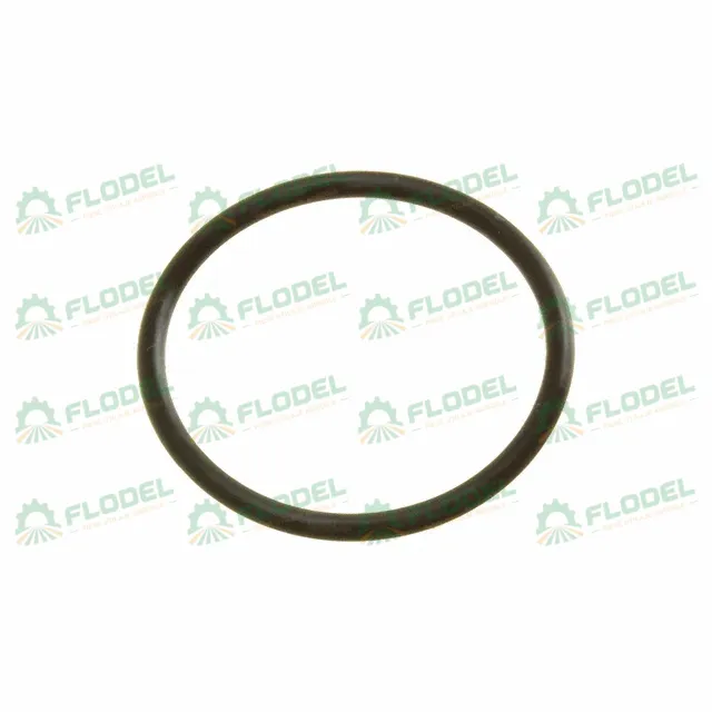 Oring  CASE IH 84364093 Original CNH