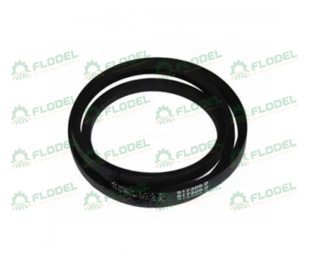 Curea AGROBELT 617309