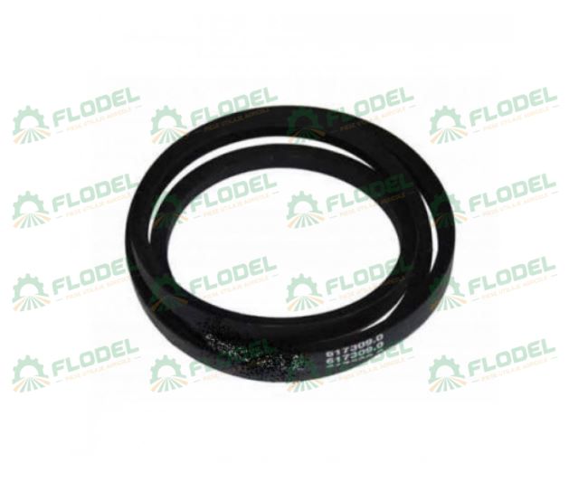 Curea AGROBELT 617309