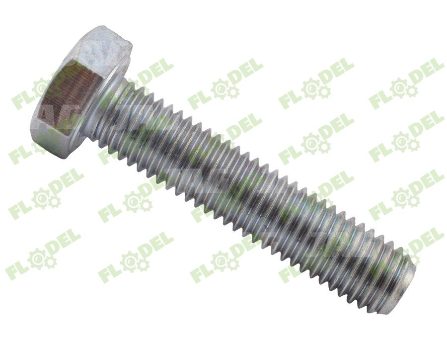 Surub M12 x 55 070403