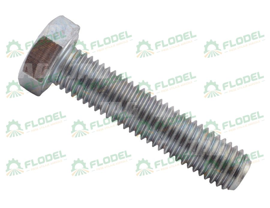 Surub M12 x 55 070403