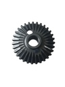 Pinion DOMINONI 11757 Z31