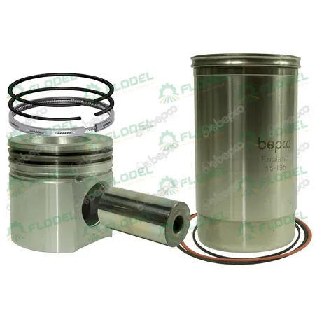 Set motor John Deere RE64509 BEPCO