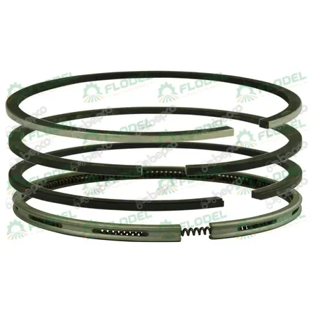 Segmenti standard motor tractor SAME 005400526