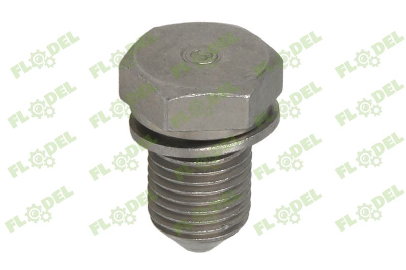 Surub baie ulei FE15374