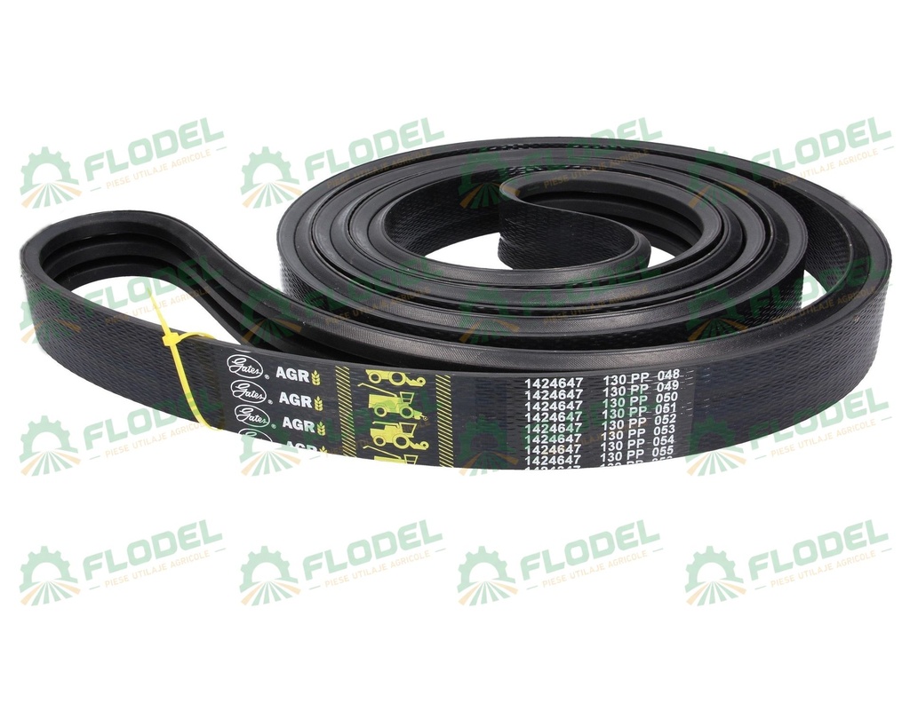 Curea rotor CLAAS LEXION 644961 [3HB]  GATES