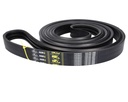 Curea 3HB actionare rotor combina CLAAS LEXION 644961 GATES