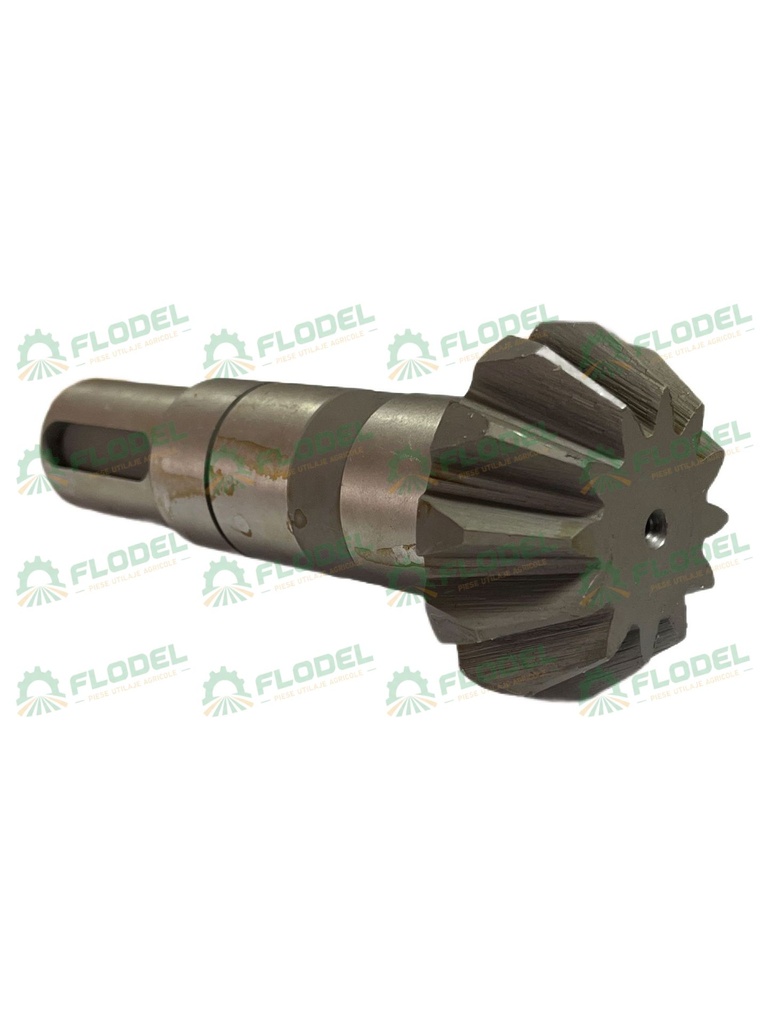 Pinion OLIMAC DR7150 Z12