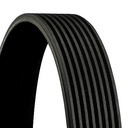 Curea accesorii tractor JOHN DEERE 8PK2460 CONTINENTAL