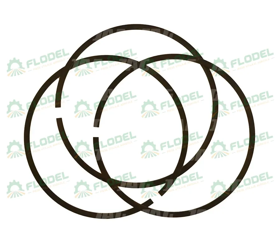 Set inel etansare fuzeta combina CLAAS 673428 Original CLAAS
