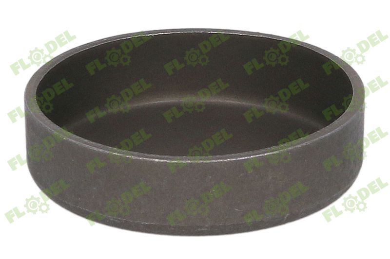 Capac motor DEUTZ 01148032