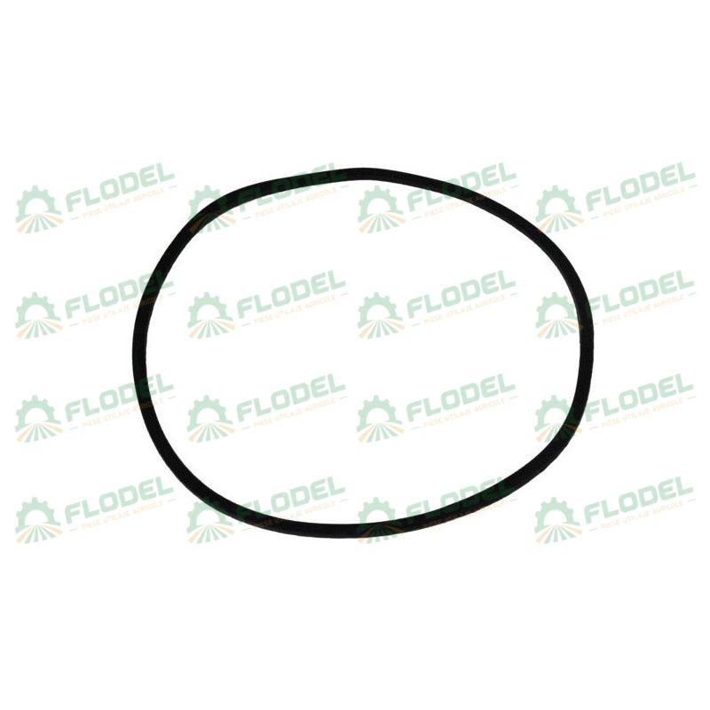 Oring CASE IH 402571R1