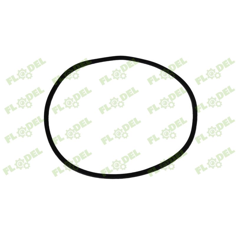 Oring CASE IH 402571R1