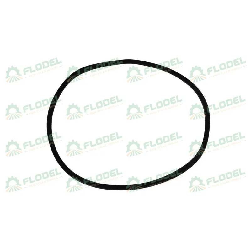 Oring CASE IH 402571R1