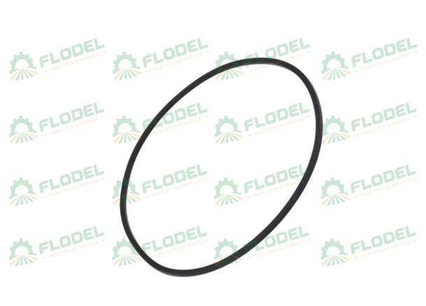 Oring CASE IH 401724R1